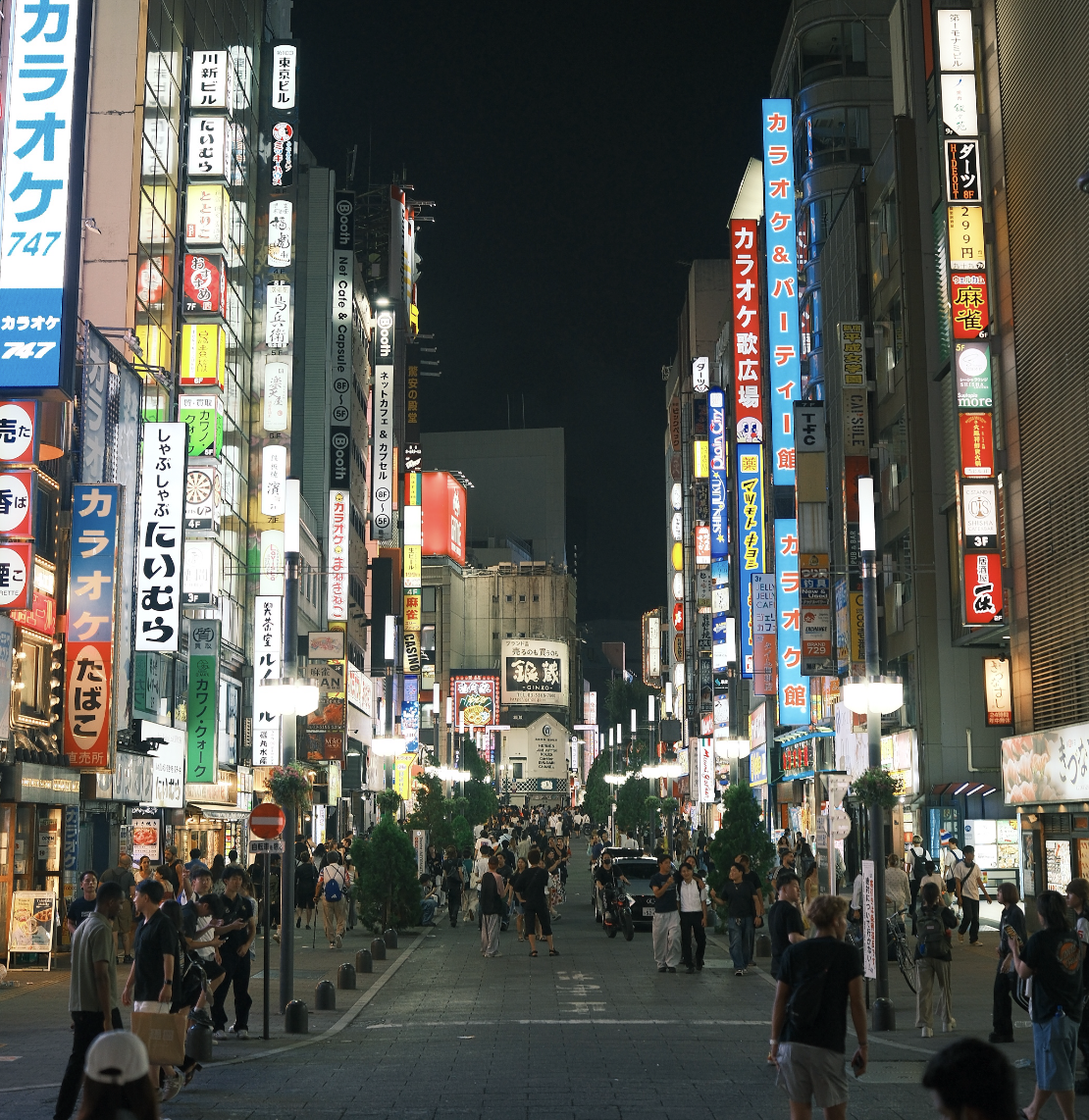Kabukicho Night Street